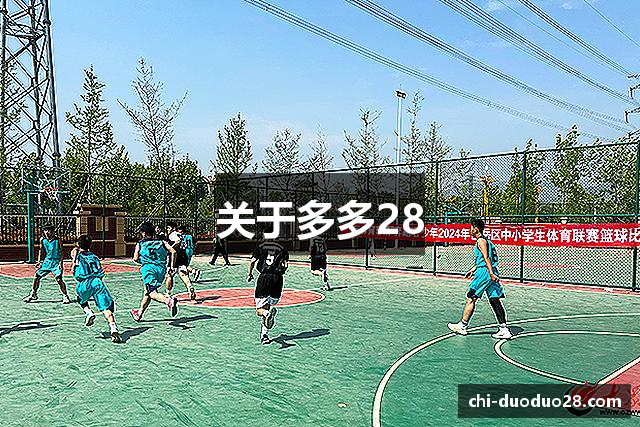 关于多多28